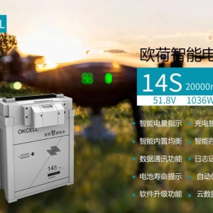 不是所有的鋰電池，都叫智能鋰電池