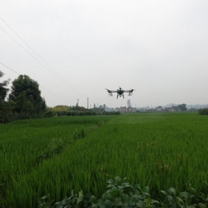 省事省力還免費(fèi)！無人機(jī)助力稻田施藥，樂山村民直呼“巴適”！ ...