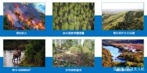 無人機(jī)林草區(qū)應(yīng)用解決方案